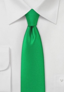 Cravatta stretta da uomo monocromatica verde