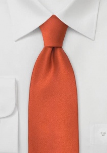 Cravatta a clip arancione