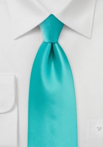 Cravatta con clip Moulins in verde menta