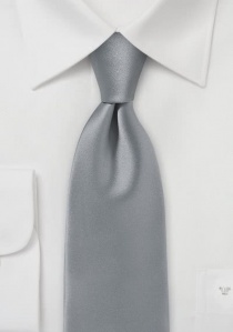 Cravatta lucida grigia