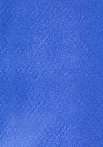 Cravatta blu regale