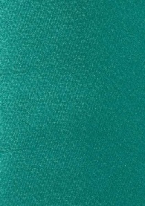 Cravatta verde scuro microfibra
