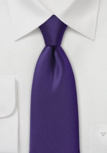 Cravatta business in fibra sintetica viola