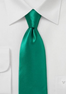 Cravatta verde petrolio