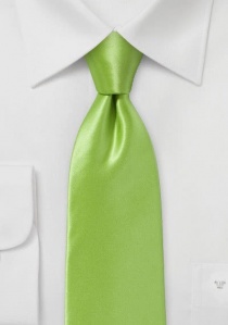 Cravatta business seta verde