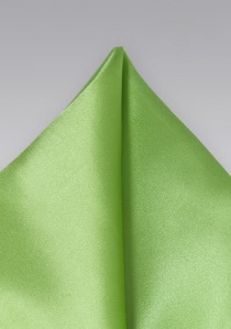 Fazzoletto taschino seta verde