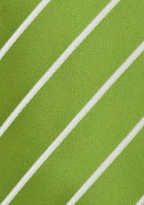 Clip cravatta strisce bianco verde erba