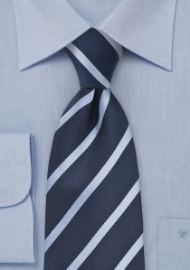 Cravatta sicurezza righe blu