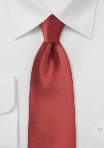 Cravatta rosso ruggine