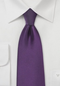 Cravatta viola microfibra