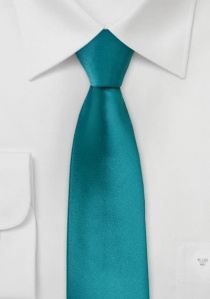 Cravatta verde turchese