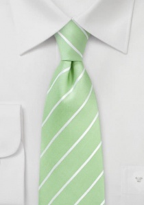 Cravatta a righe verde chiaro