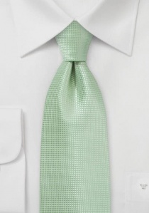 Cravatta verde pastello