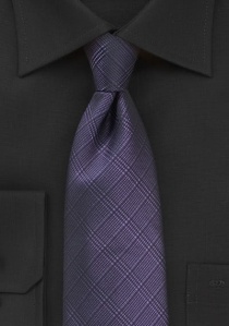 Elegante cravatta a quadri viola