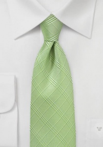 Elegante cravatta a quadri verde chiaro