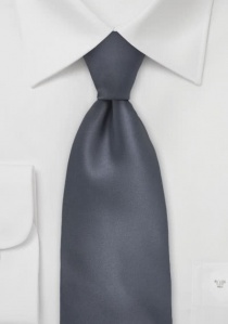 Cravatta a clip in fibra sintetica grigio scuro