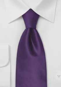 Clip cravatta in seta viola