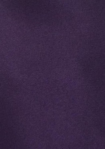 Clip cravatta in seta viola