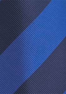 Cravatta righe larghe blu