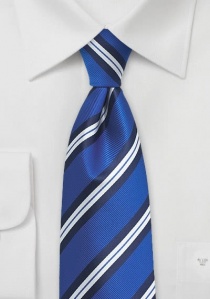 Cravatta blu regale righe