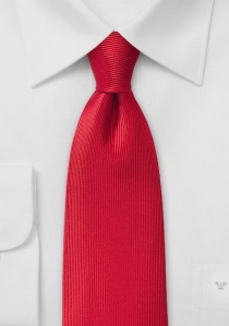 Cravatta rossa coste