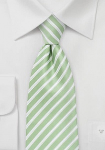 Cravatta per bambini con motivo a righe verde
