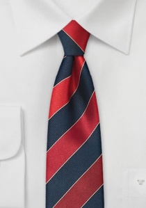 Cravatta a righe blu scuro rosso