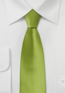 Cravatta sottile Limoges verde mela
