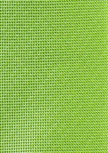 Cravatta sottile verde