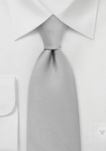 Cravatta di lusso a coste d'argento con