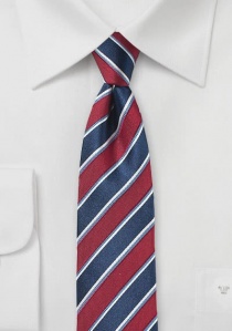 Cravatta d'affari alla moda a righe rosso ciliegia
