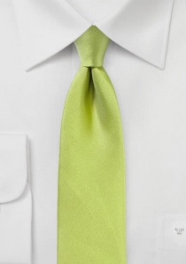 Struttura della cravatta aziendale verde