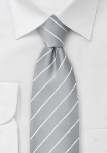 Cravatta Elegance Business Grigio Argento