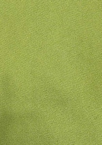 Cravatta verde mela
