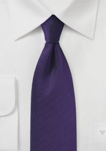 Cravatta elegante strutturata viola
