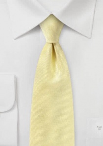 Cravatta business delicatamente strutturata in