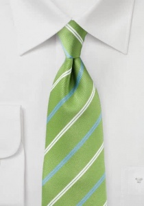 Cravatta business a righe verde nobile